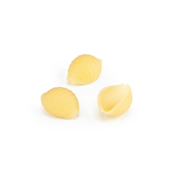 I-071_conchiglie rigate